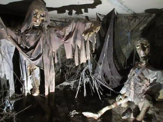 Monster Muzeum