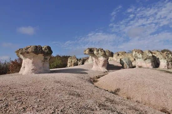 The Stone Mushrooms