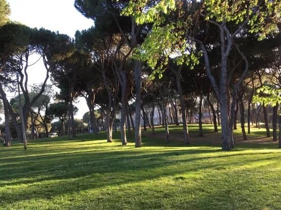 Dehesa de la Villa Park