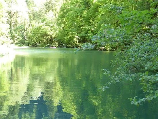 Lac Vert d'Undervelier