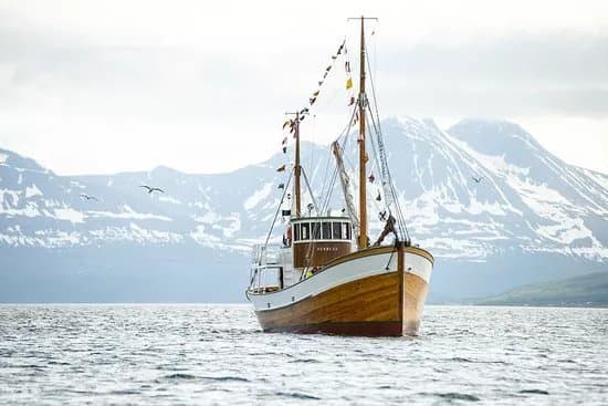 Hermes II
