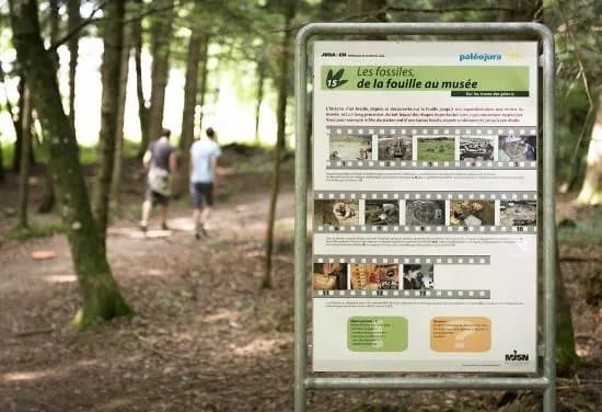 Jurassica Sentier Didactique