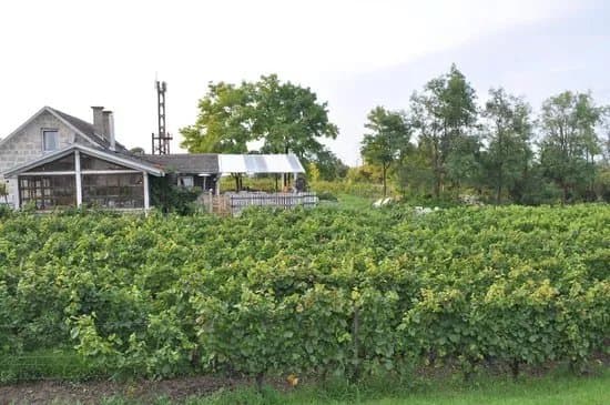 Hernyak Estate
