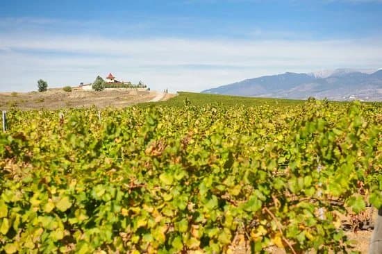Rupel Winery