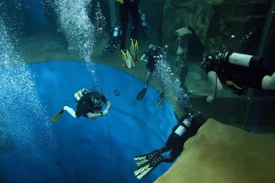 Dive4Life