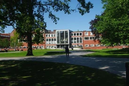 Molleparken