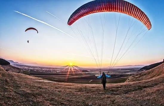 Transylvania Fly