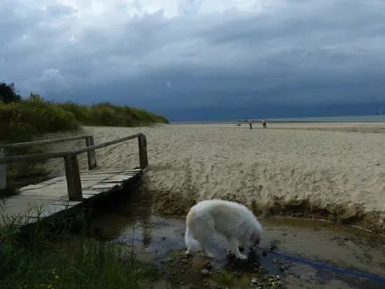 Plage du Butin