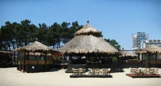 Mexo Bar