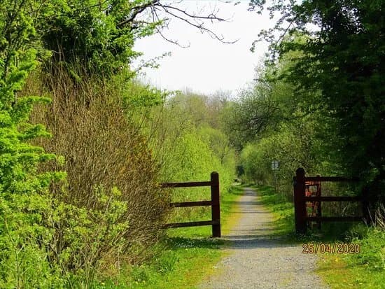 Bothar Na Naomh Cloone