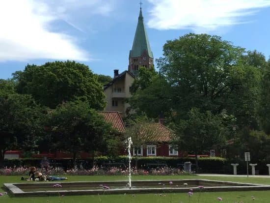 Nytorget