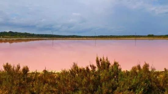 Salinas d'Es Trenc
