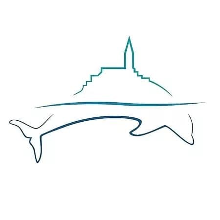 Dolphin Watching Rovinj