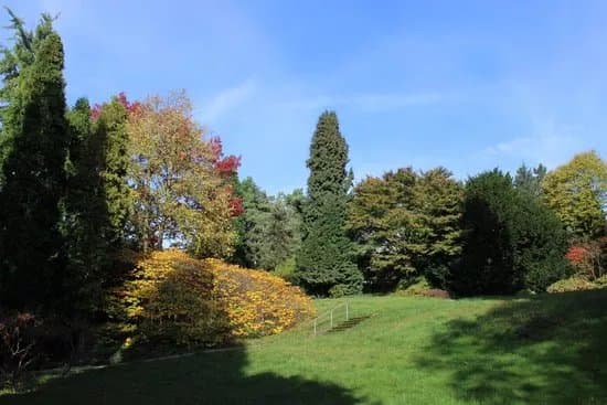 Arboretum Park Harle