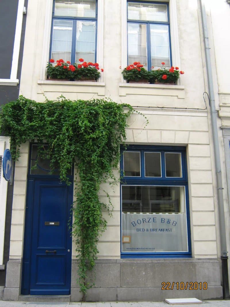 Borze B&B