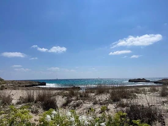 Loko beach