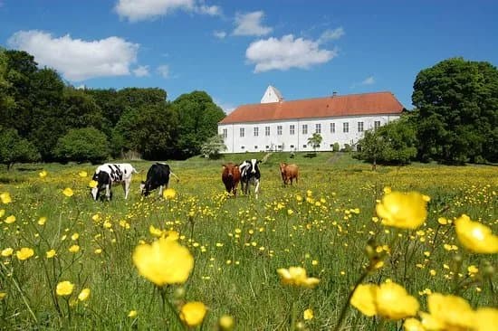 Orslev Kloster
