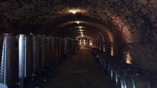 Podrum Bajilo (Wine Cellar)