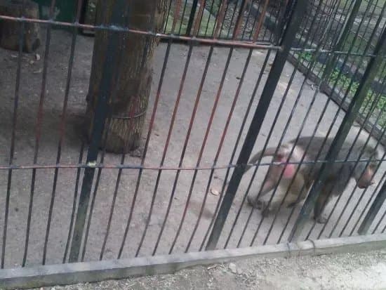 Pleven Zoo