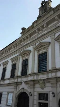 Horacka Galerie & Zamek Nove Mesto Na Morave