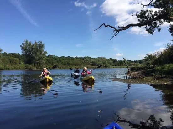 Wexford Kayak Safari