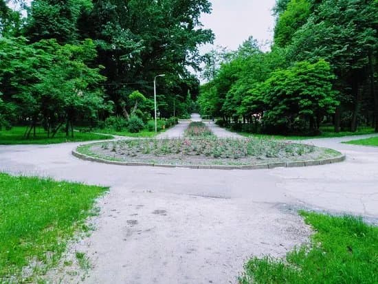 Parcul Alunelul