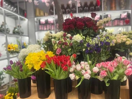 Roxy Flowers