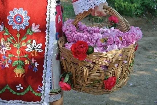 Koukery Art & Festival Travel