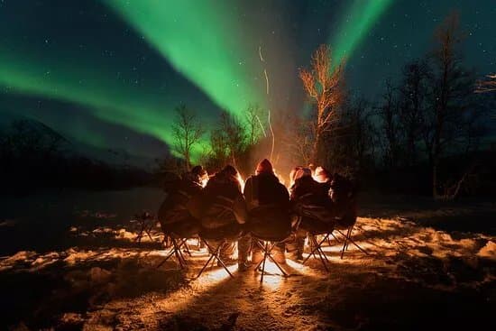 Enjoy the Arctic