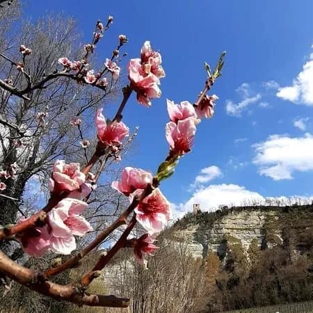 Parco Naturale del Fiume Savio
