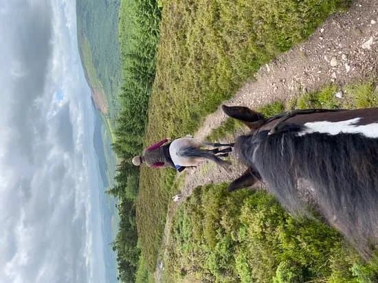 Devil's Bit Pony Trekking