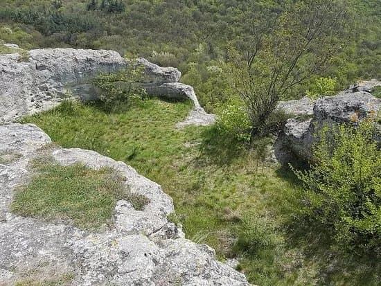 Petrich Kale