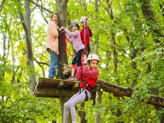 La Foret de Robin