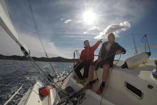 Marlin sailing