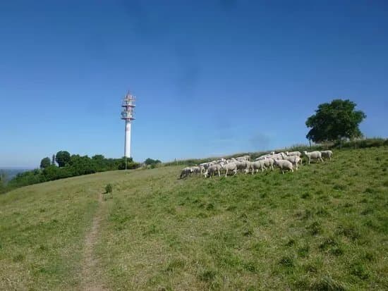 Espace Naturel Sensible de la Cote Saint-Amand