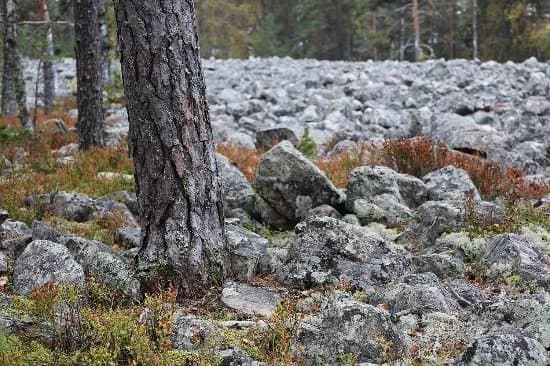 Lauhanvuoren Kansallispuisto