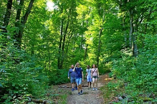 Trails of Budapest Hiking Tours