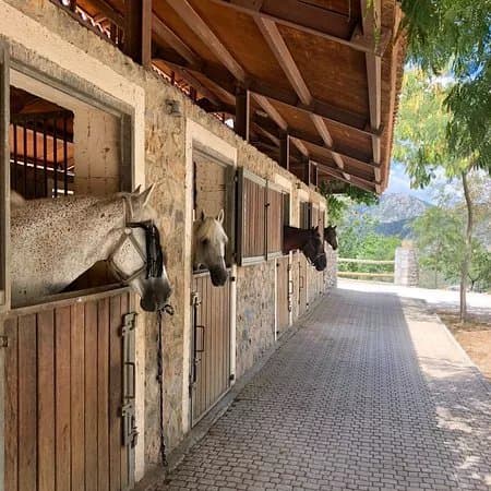 Odysseia Stables