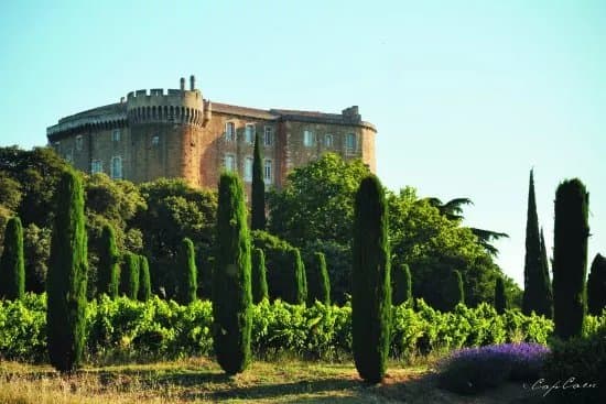 Universite du Vin