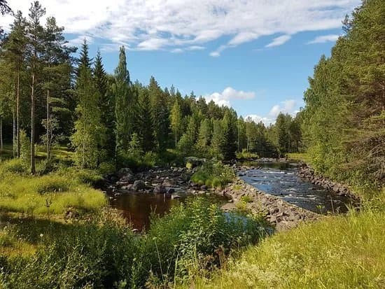 Wildlife Sweden-Camp Angra
