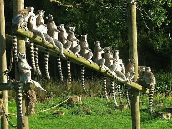 The Lake District Wildlife Park