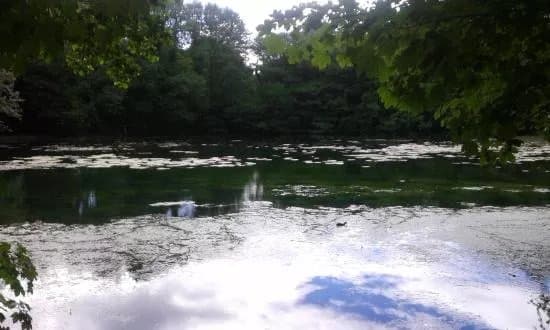 Baggeridge Country Park