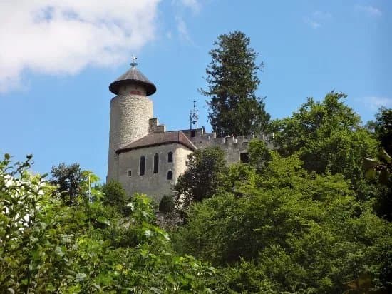 Schloss Birseck