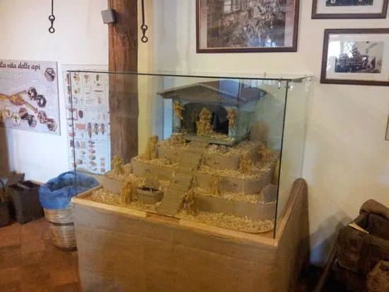 Casa Museo dell'Apicoltore e Vendita di Miele