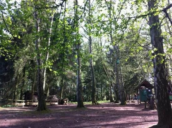 Wildpark Rolandseck