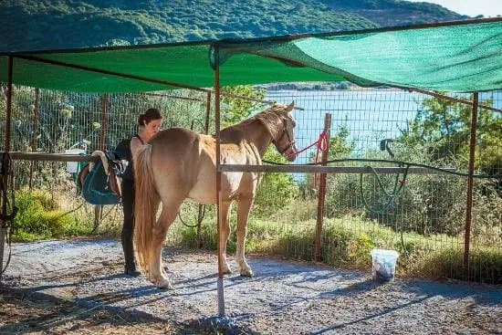 Ippos Horse Riding and Excursions