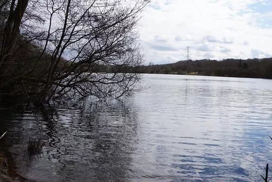 Clifton Country Park