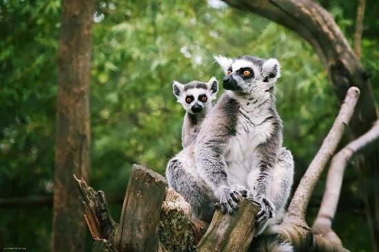 Zoopark Zajezd