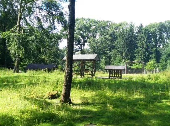 Heissiwald