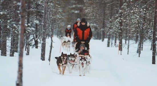 Era-Susi Huskies - Day Tours